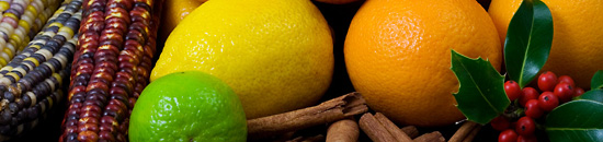 驱动卓越表现的Web漏洞扫描工具