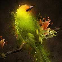 导入导出方便的网站ddos