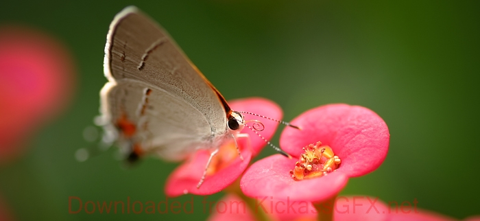 手机版ddos攻击器